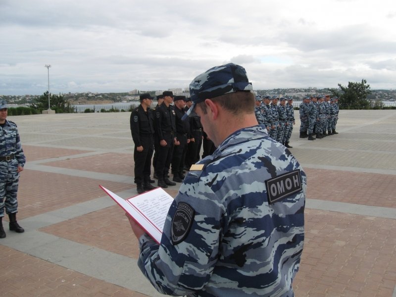 беркут5 беркут5