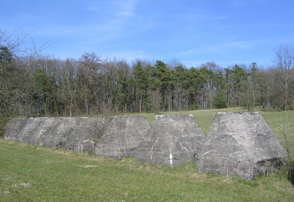 4(224) 4(224)