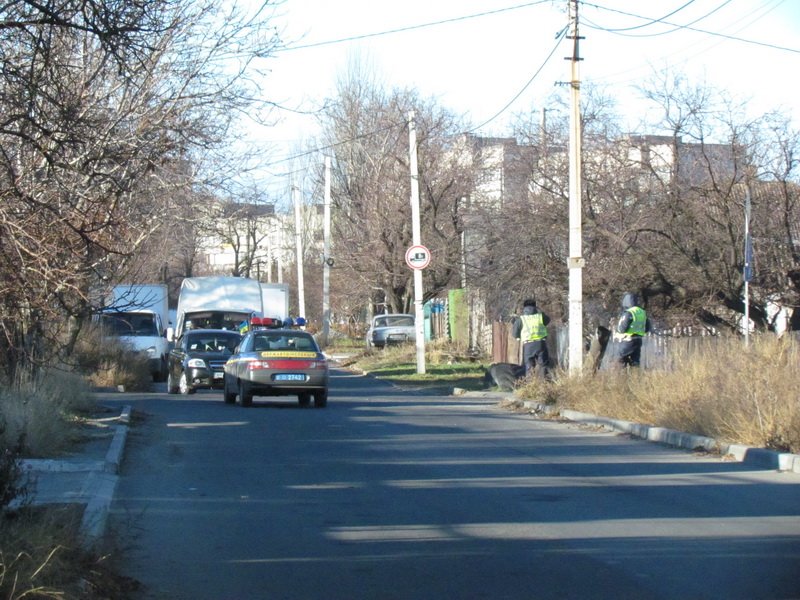 IMG_7241_новый размер IMG_7241_новый размер