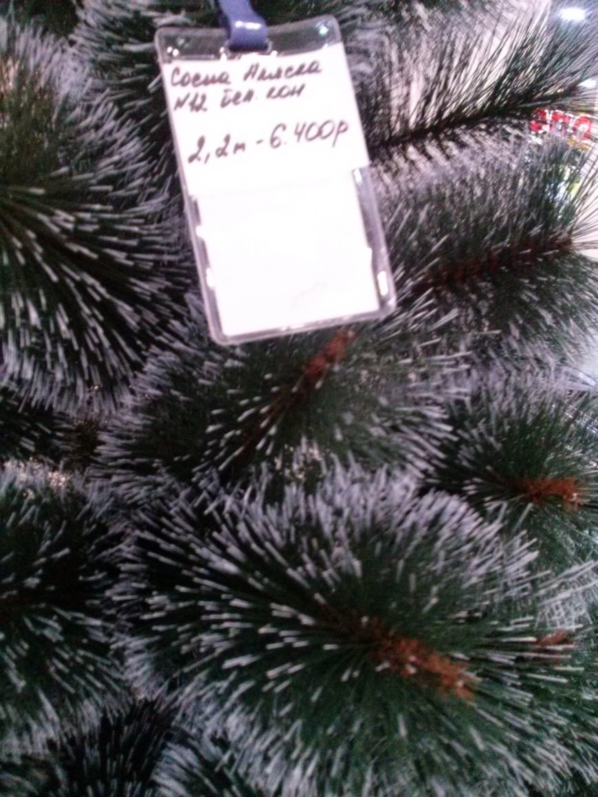 сосна сосна