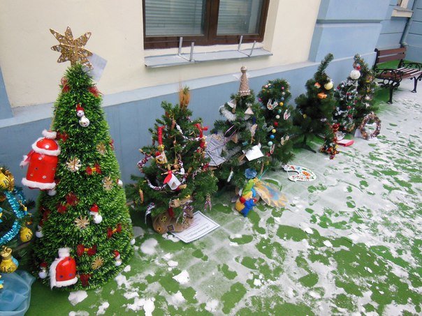 Чернівецькі школярі передадуть ялинки воїнам у зону АТО (фото) - фото 1 Чернівецькі школярі передадуть ялинки воїнам у зону АТО (фото) - фото 1