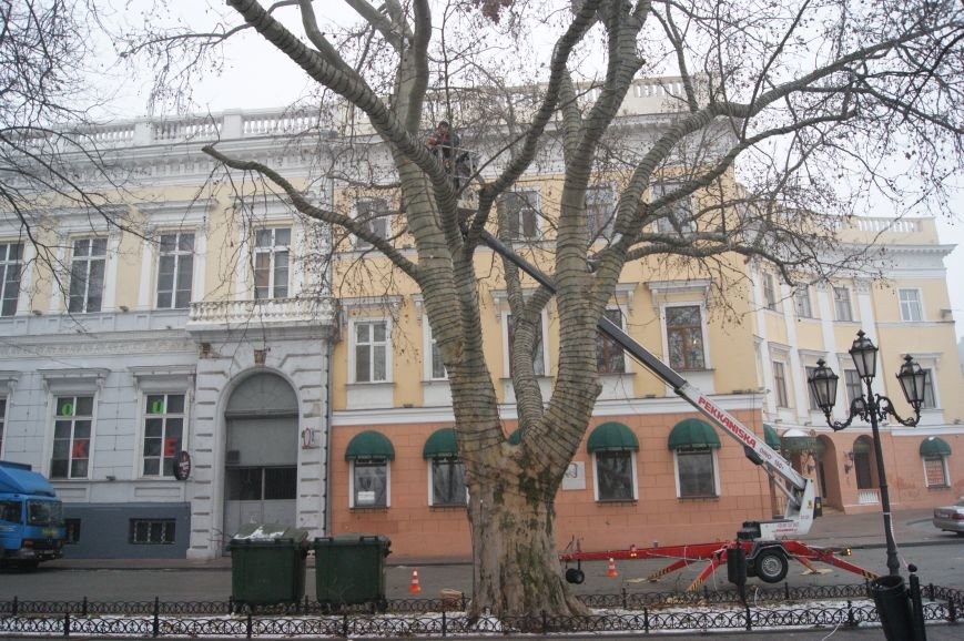 На Приморский бульвар Одессы вернут «фишку» Гурвица (ФОТО) (фото) - фото 1 На Приморский бульвар Одессы вернут «фишку» Гурвица (ФОТО) (фото) - фото 1