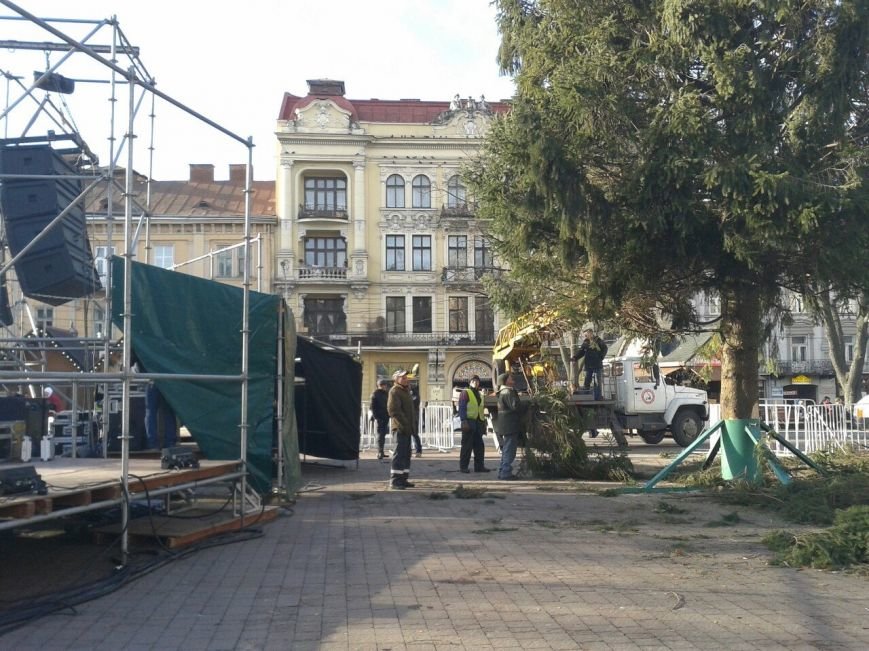 Головна ялинка Львова уже в центрі (ФОТО) (фото) - фото 1 Головна ялинка Львова уже в центрі (ФОТО) (фото) - фото 1