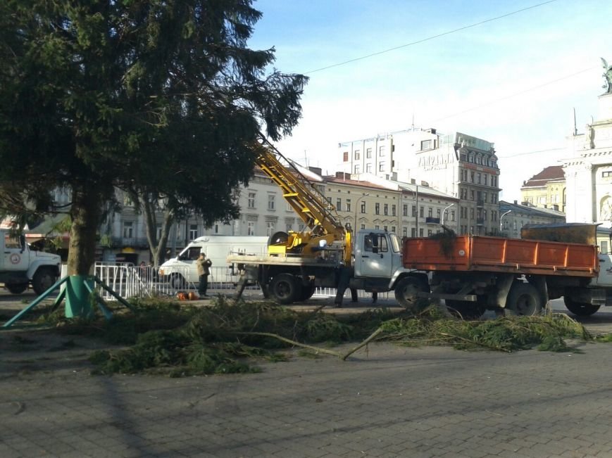 Головна ялинка Львова уже в центрі (ФОТО) (фото) - фото 1 Головна ялинка Львова уже в центрі (ФОТО) (фото) - фото 1