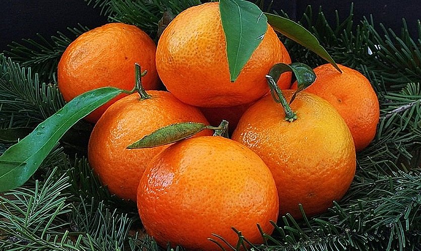 Продукты под новый Год, где и почём? (фото) - фото 1 Продукты под новый Год, где и почём? (фото) - фото 1