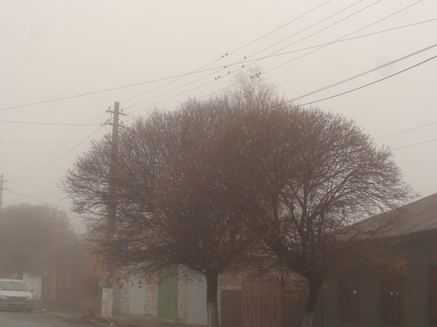 В Мариуполе объявлено штормовое предупреждение (ФОТОФАКТ) (фото) - фото 1 В Мариуполе объявлено штормовое предупреждение (ФОТОФАКТ) (фото) - фото 1