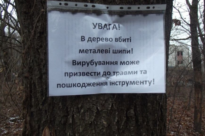 Черниговцы защитили деревья от вырубки, забив в них гвозди (фото) - фото 1 Черниговцы защитили деревья от вырубки, забив в них гвозди (фото) - фото 1