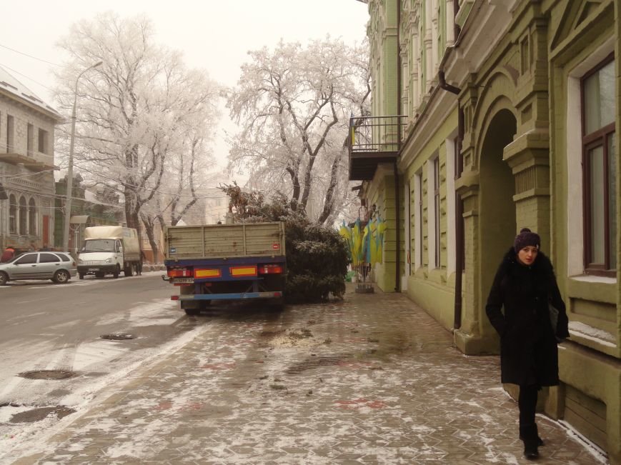 Новогодняя елка оказала сопротивление при установке в Мариуполе (ФОТОРЕПОРТАЖ) (фото) - фото 1 Новогодняя елка оказала сопротивление при установке в Мариуполе (ФОТОРЕПОРТАЖ) (фото) - фото 1