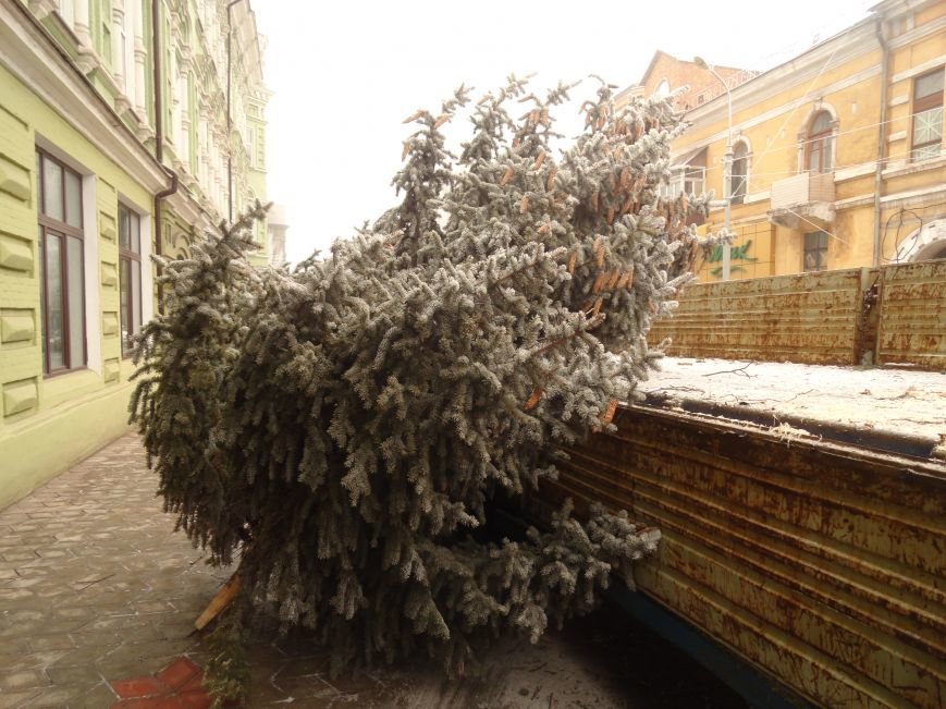 Новогодняя елка оказала сопротивление при установке в Мариуполе (ФОТОРЕПОРТАЖ) (фото) - фото 1 Новогодняя елка оказала сопротивление при установке в Мариуполе (ФОТОРЕПОРТАЖ) (фото) - фото 1
