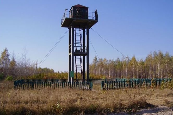 Новый рисунок (8) Новый рисунок (8)