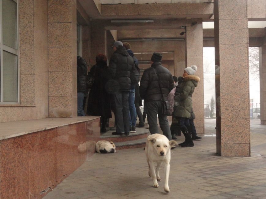 Доллар в Мариуполе бьет рекорды роста (ФОТОФАКТ) (фото) - фото 1 Доллар в Мариуполе бьет рекорды роста (ФОТОФАКТ) (фото) - фото 1