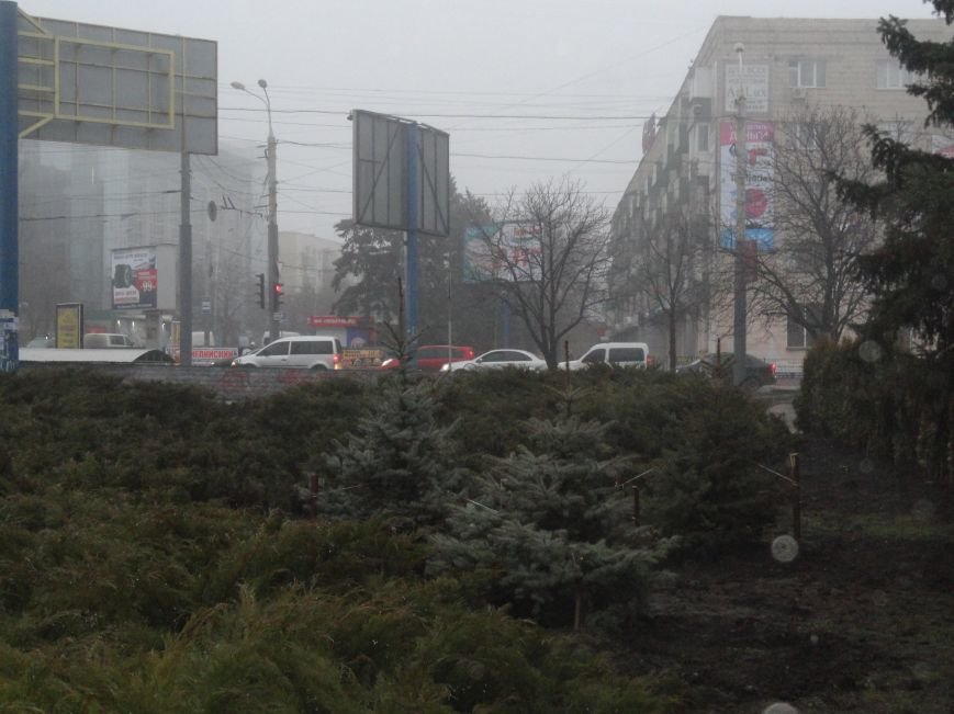 В центре Мариуполя выросла зеленая стена (ФОТОФАКТ) (фото) - фото 1 В центре Мариуполя выросла зеленая стена (ФОТОФАКТ) (фото) - фото 1