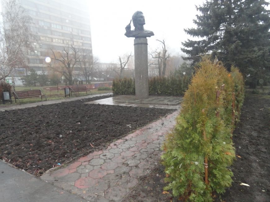 В центре Мариуполя выросла зеленая стена (ФОТОФАКТ) (фото) - фото 1 В центре Мариуполя выросла зеленая стена (ФОТОФАКТ) (фото) - фото 1