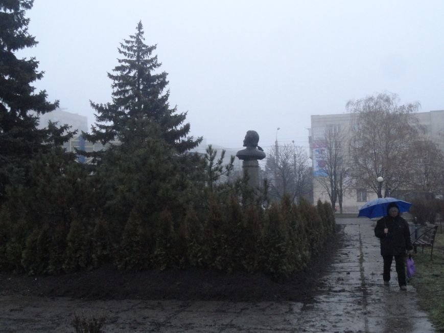 В центре Мариуполя выросла зеленая стена (ФОТОФАКТ) (фото) - фото 1 В центре Мариуполя выросла зеленая стена (ФОТОФАКТ) (фото) - фото 1