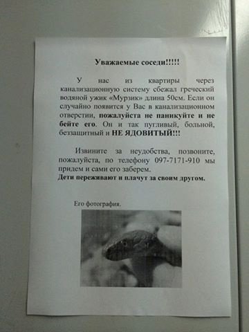 Насмешили: В одесском подъезде предупреждают, что из туалета может вынырнуть уж (ФОТО) (фото) - фото 1 Насмешили: В одесском подъезде предупреждают, что из туалета может вынырнуть уж (ФОТО) (фото) - фото 1