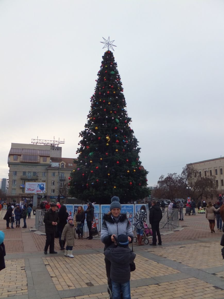 В Кировограде проходит открытие главной елки области (фото) - фото 1 В Кировограде проходит открытие главной елки области (фото) - фото 1