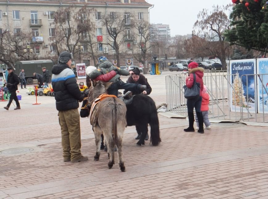 В Кировограде проходит открытие главной елки области (фото) - фото 1 В Кировограде проходит открытие главной елки области (фото) - фото 1