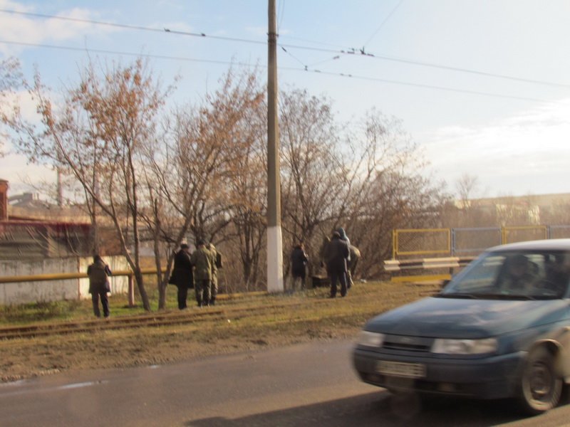IMG_8775_новый размер IMG_8775_новый размер