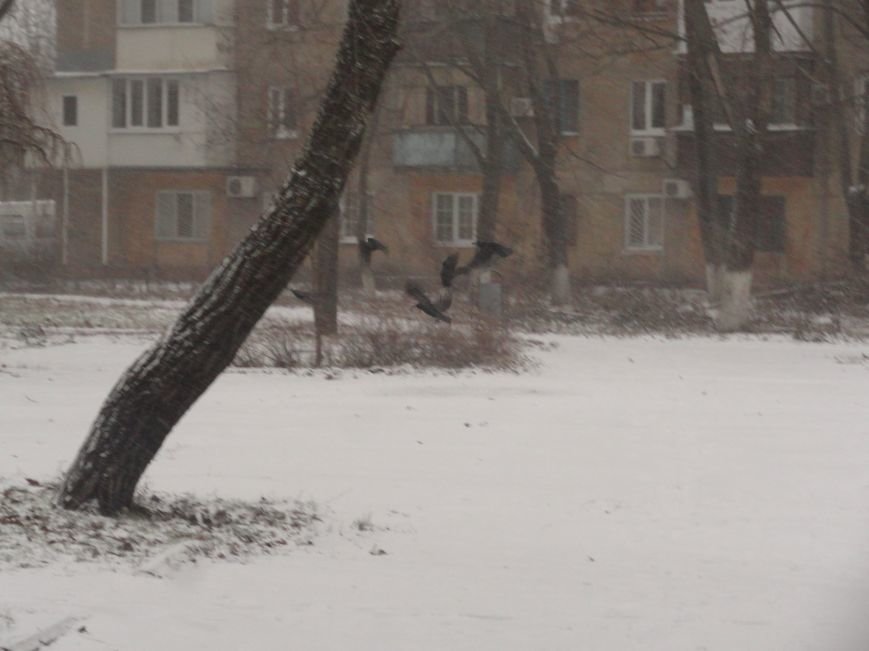У мариупольцев появился шанс встретить Новый года со снегом (ФОТОФАКТ) (фото) - фото 1 У мариупольцев появился шанс встретить Новый года со снегом (ФОТОФАКТ) (фото) - фото 1