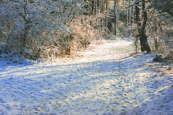 Симферопольцы в соцсетях делятся живописными снимками засн..., фото-16 Симферопольцы в соцсетях делятся живописными снимками заснеженного города (ФОТО), фото-16