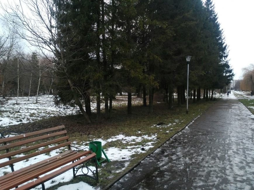 У Тернополі в одному з парків валяються десятки трупів (фото) (фото) - фото 1 У Тернополі в одному з парків валяються десятки трупів (фото) (фото) - фото 1