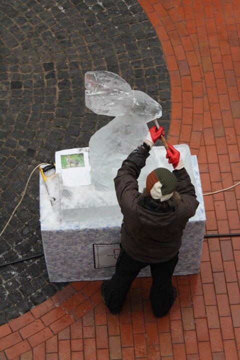 24-01-2015 050 24-01-2015 050