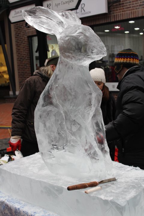 24-01-2015 075 24-01-2015 075