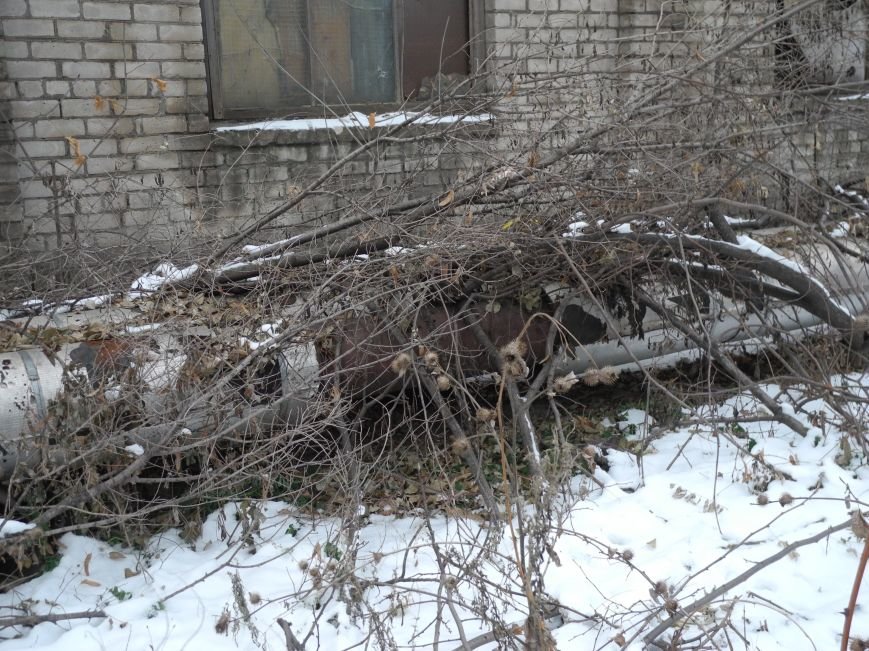 А так трубу по ул. Х-летия Октября утеплили (или замаскировали) дворники Дивобуда А так трубу по ул. Х-летия Октября утеплили (или замаскировали) дворники Дивобуда
