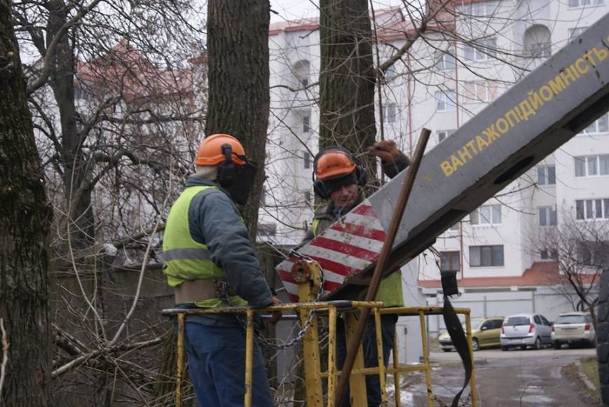 Комунальтники на “Східному” у Тернополі взялись омолоджувати дерева (фото) (фото) - фото 1 Комунальтники на “Східному” у Тернополі взялись омолоджувати дерева (фото) (фото) - фото 1