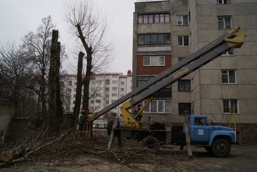 Комунальтники на “Східному” у Тернополі взялись омолоджувати дерева (фото) (фото) - фото 1 Комунальтники на “Східному” у Тернополі взялись омолоджувати дерева (фото) (фото) - фото 1