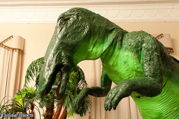 Dinosaurus (51 из 70) копия Dinosaurus (51 из 70) копия