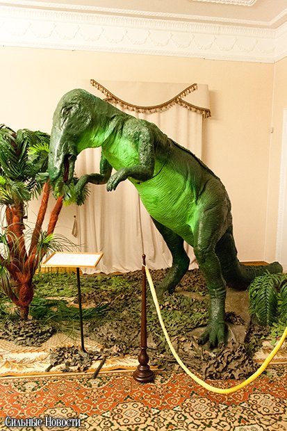 Dinosaurus (55 из 70) копия Dinosaurus (55 из 70) копия