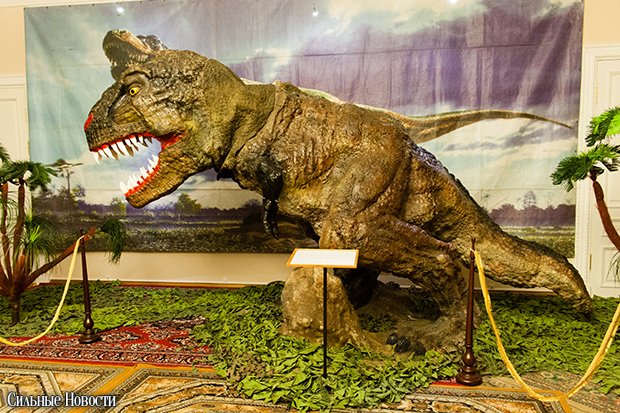 Dinosaurus (34 из 70) копия Dinosaurus (34 из 70) копия