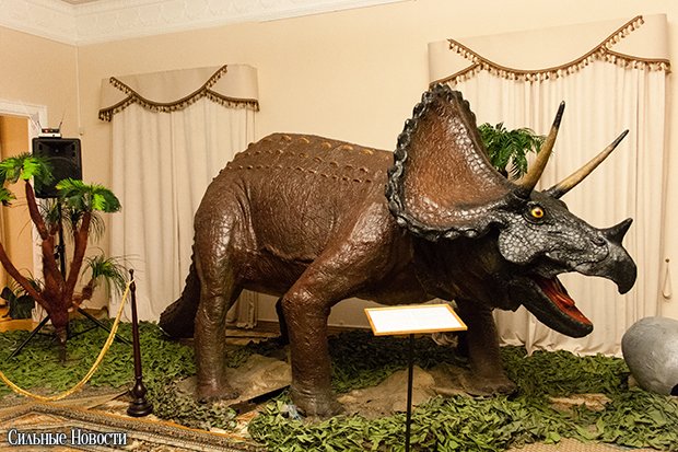 Dinosaurus (38 из 70) копия Dinosaurus (38 из 70) копия