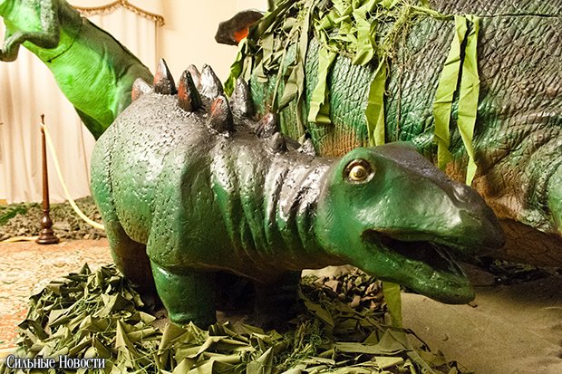 Dinosaurus (19 из 70) копия Dinosaurus (19 из 70) копия