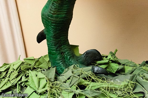 Dinosaurus (67 из 70) копия Dinosaurus (67 из 70) копия
