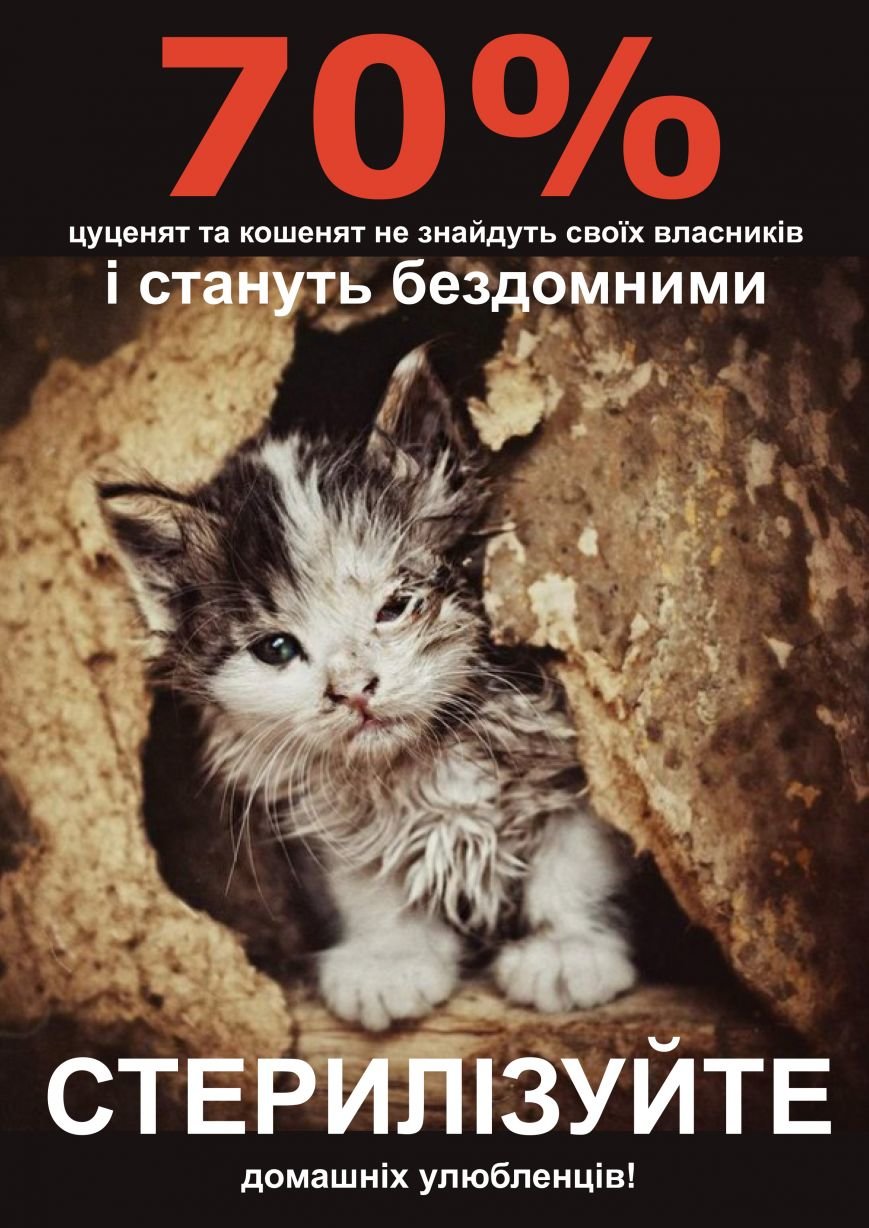 плакат2 плакат2