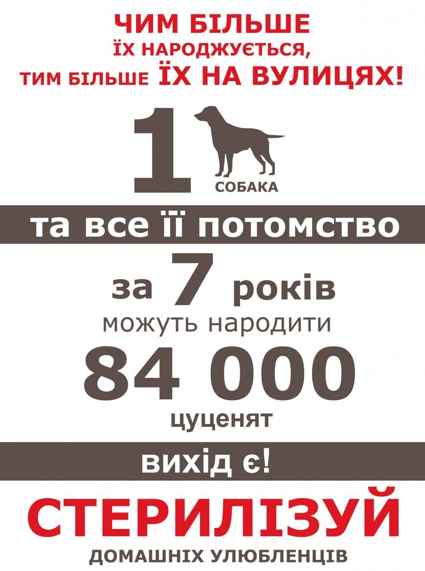 ПЛАКАТ1 ПЛАКАТ1