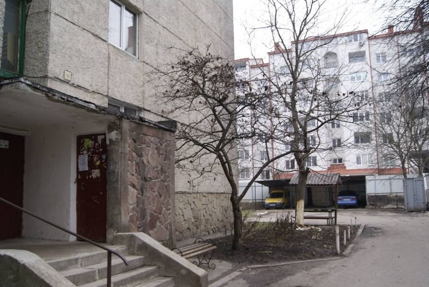 У Тернополі невідомі «скалічили» дерево (фото) (фото) - фото 1 У Тернополі невідомі «скалічили» дерево (фото) (фото) - фото 1