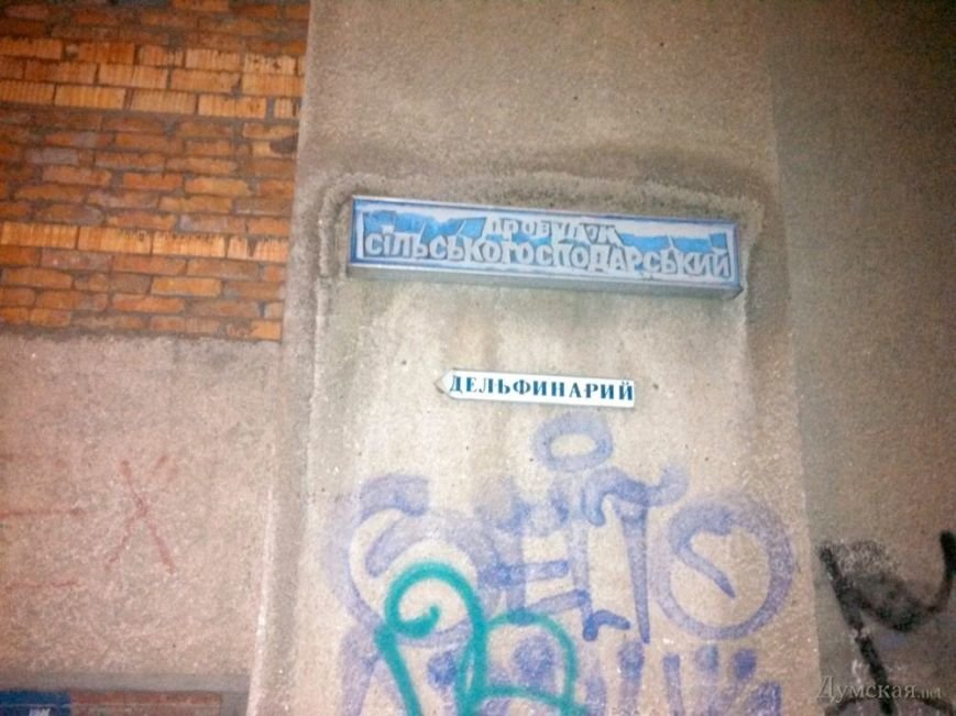 В бассейне одесского стадиона держат краснокнижных дельфинов, - СМИ (фото) - фото 4 В бассейне одесского стадиона держат краснокнижных дельфинов, - СМИ (фото) - фото 4