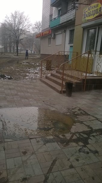 Микрорайон «Южный» в Красноармейске утопает в фекалиях (Фотофакт) (фото) - фото 1 Микрорайон «Южный» в Красноармейске утопает в фекалиях (Фотофакт) (фото) - фото 1