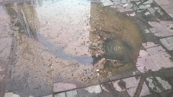 Микрорайон «Южный» в Красноармейске утопает в фекалиях (Фотофакт) (фото) - фото 2 Микрорайон «Южный» в Красноармейске утопает в фекалиях (Фотофакт) (фото) - фото 2