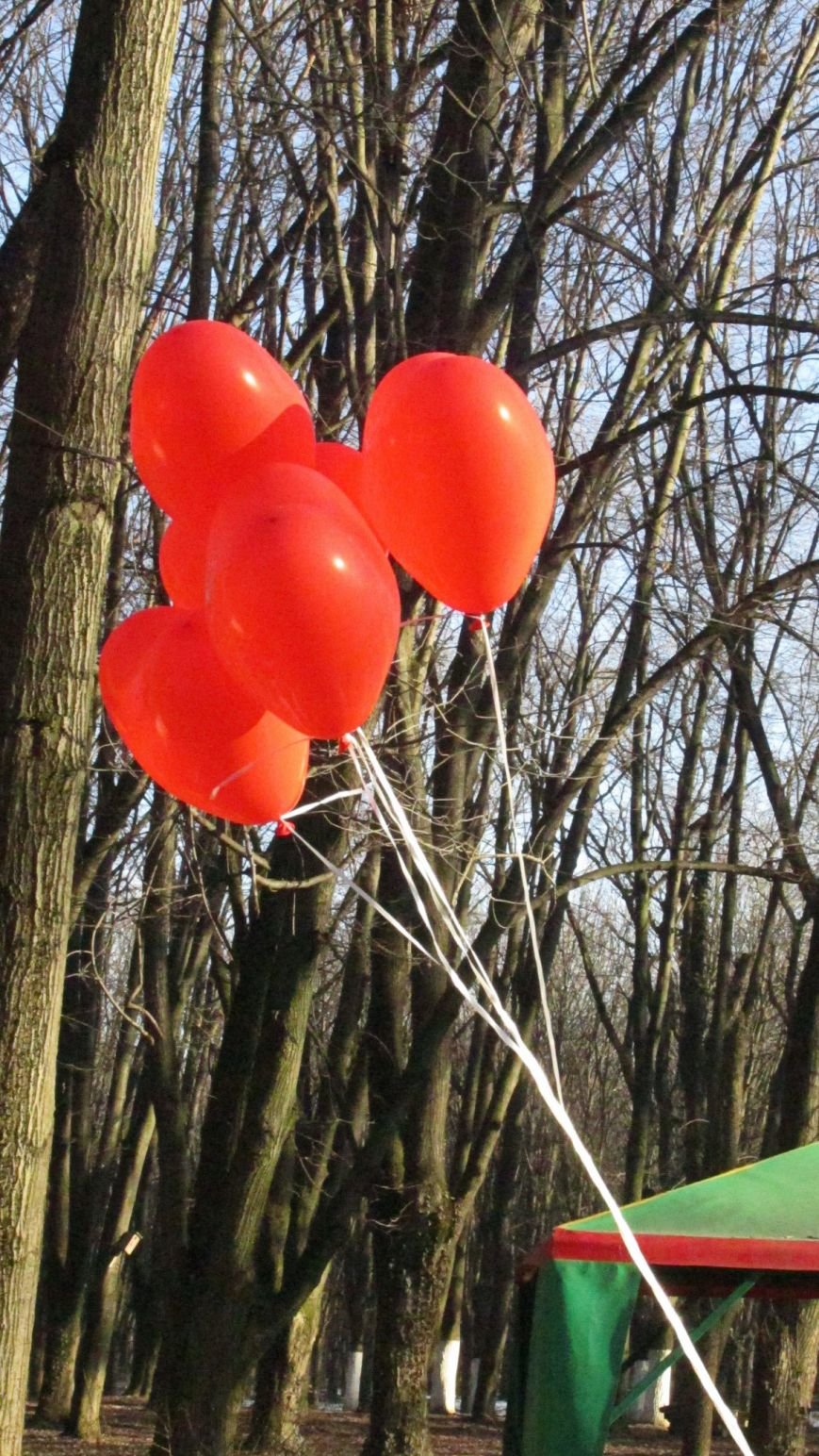 В Ужгороді свято було! Як пройшла Ужгородська Палачінта (ФОТО РЕПОР... В Ужгороді свято було! Як пройшла Ужгородська Палачінта (ФОТО РЕПОРТАЖ) (фото) - фото 48