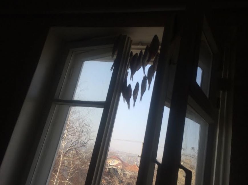 В Мариуполе пожилые жители Широкино обживаются на новом месте(ФОТО) (фото) - фото 1 В Мариуполе пожилые жители Широкино обживаются на новом месте(ФОТО) (фото) - фото 1
