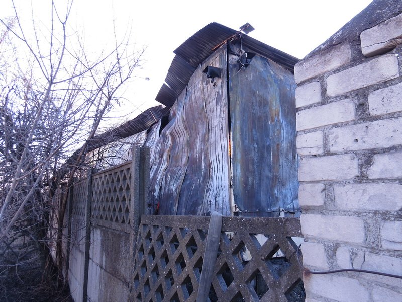 IMG_1136_новый размер IMG_1136_новый размер