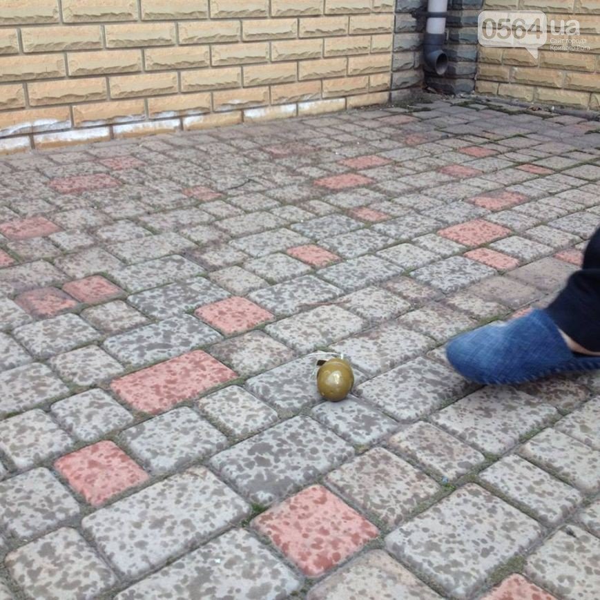 В Кривом Роге: задержали милиционера-наркоторговца, депутату во дво... В Кривом Роге: задержали милиционера-наркоторговца, депутату во двор бросили 2 гранаты, а музыкантов номинировали на престижную премию (фото) - фот...