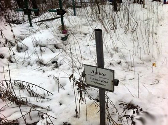 На Сумщине вандал осквернил более 20 могил (ФОТО) (фото) - фото 1 На Сумщине вандал осквернил более 20 могил (ФОТО) (фото) - фото 1