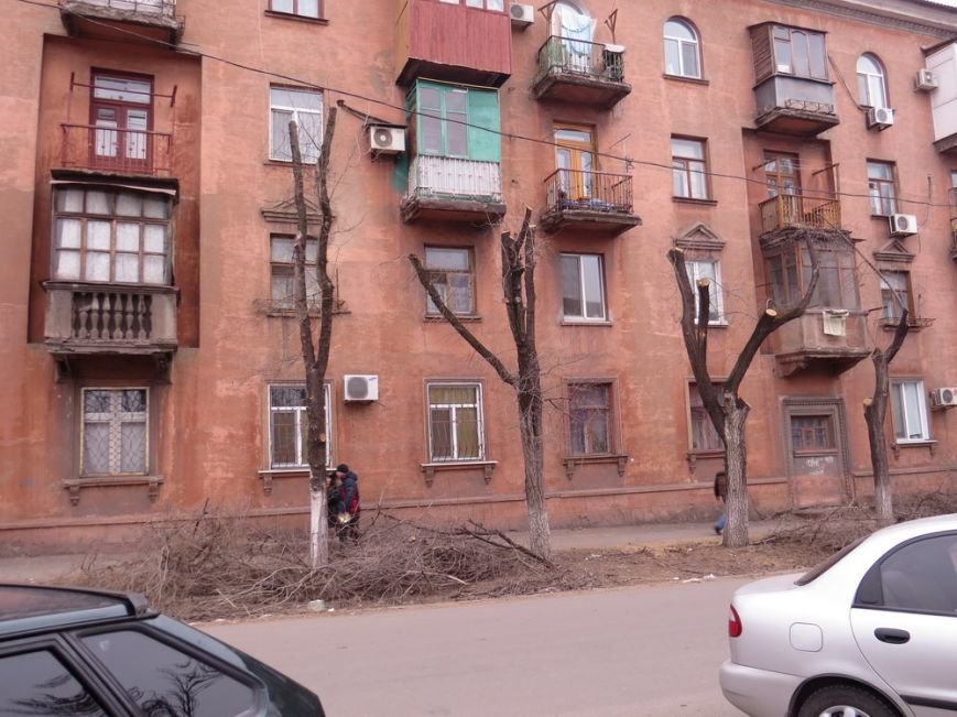 IMG_1681_новый размер IMG_1681_новый размер