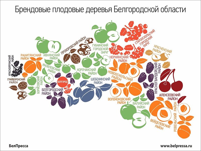 Что это было? Первые цветы, документы, штрафы и звуки этой..., фото-2 Что это было? Первые цветы, документы, штрафы и звуки этой весны в Белгороде, фото-2
