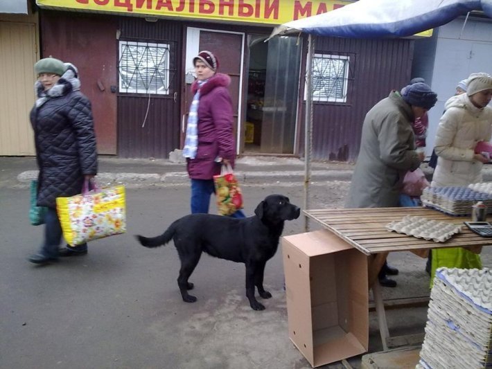 710x533x01.jpg.pagespeed.ic.n55D8uLbqfkYA_6JqKIe 710x533x01.jpg.pagespeed.ic.n55D8uLbqfkYA_6JqKIe